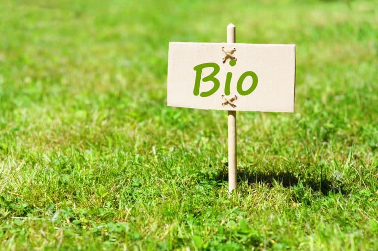 Une pate à modeler bio fait maison