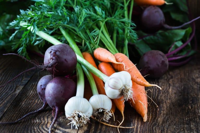 Le jardinage : un loisir 100% bienfaiteur