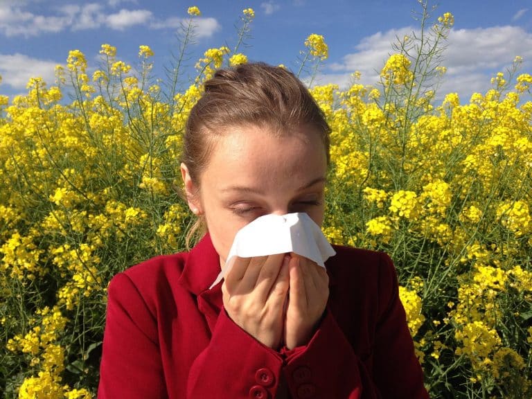 Les antihistaminiques naturels pour les allergies