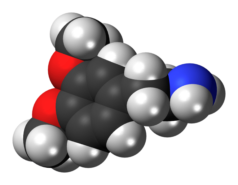 La dopamine vous aide-t-elle à perdre du poids ?