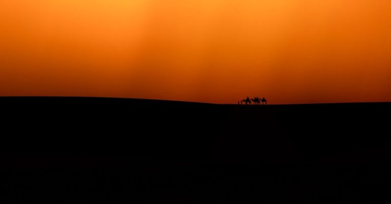 Comment voyager de manière écologique et biologique ?