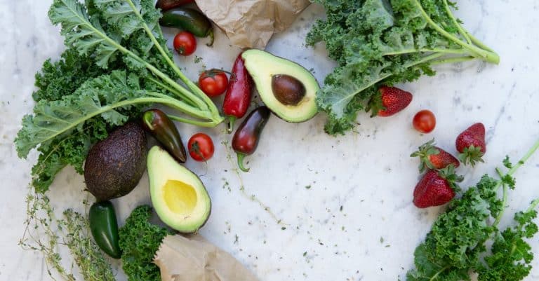 Pourquoi opter pour une alimentation bio pour les chiens et chats ?
