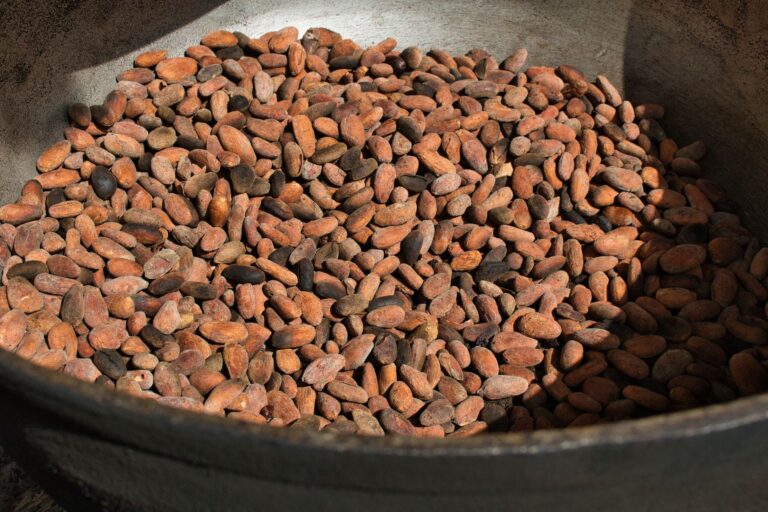 Le chocolat bio et équitable : un choix responsable ?